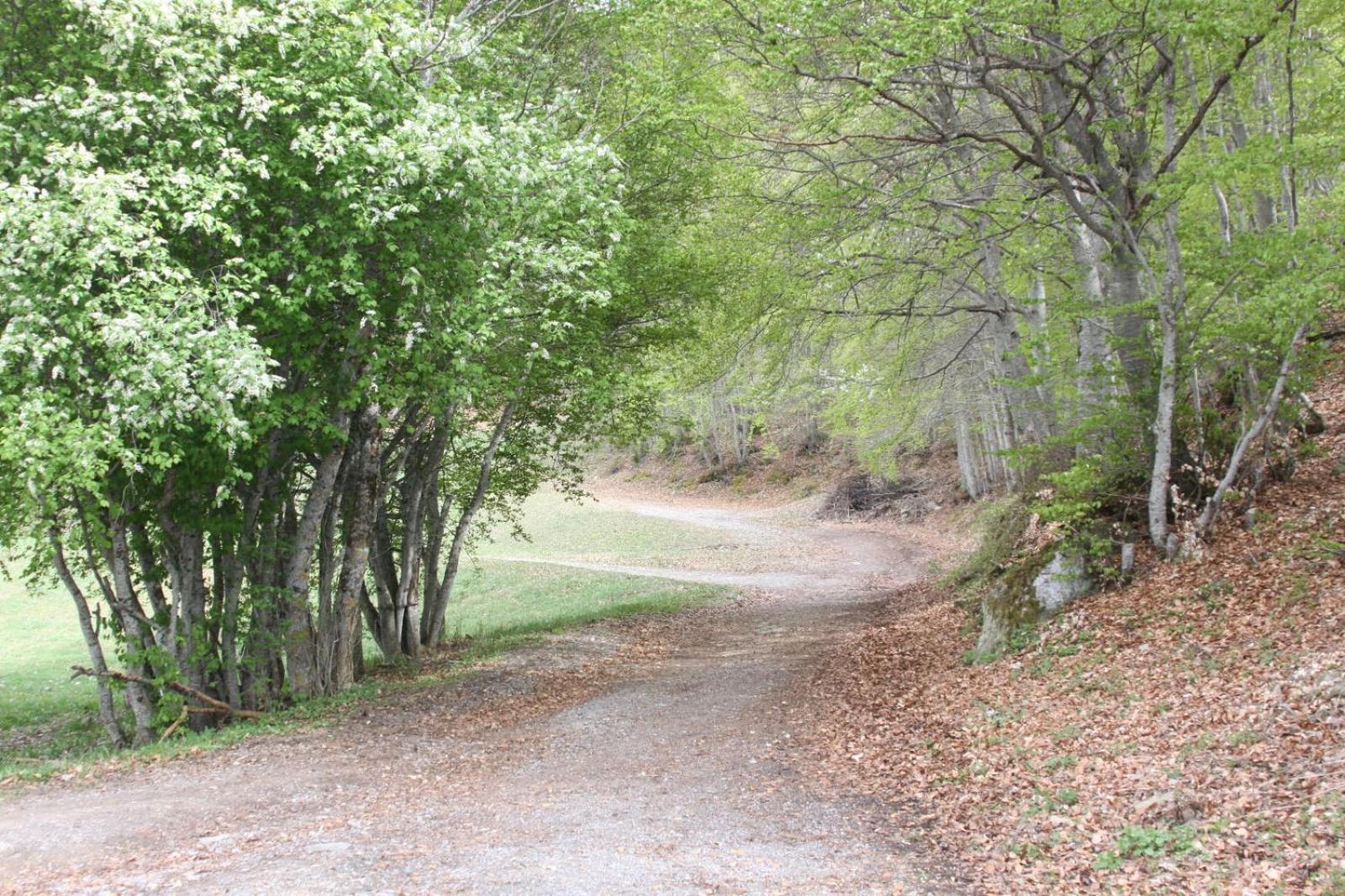 Les Gites De L'E.D.E. Saint-Leger-les-Melezes Esterno foto