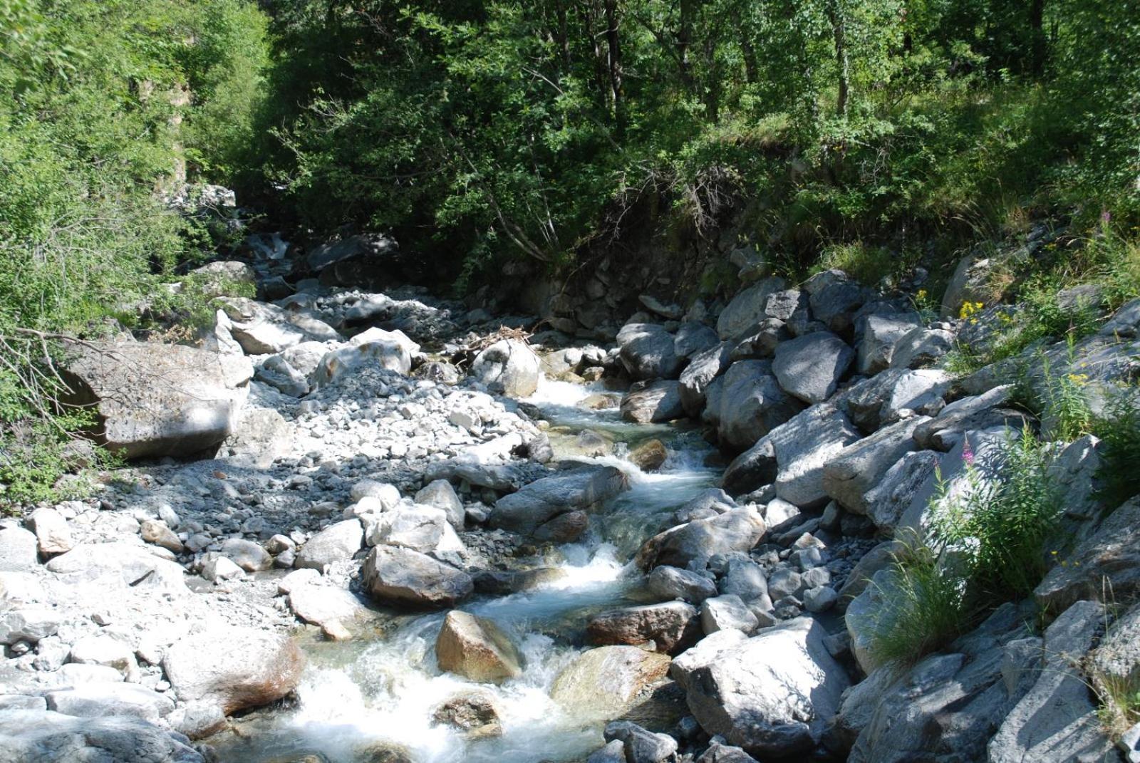 Les Gites De L'E.D.E. Saint-Leger-les-Melezes Esterno foto
